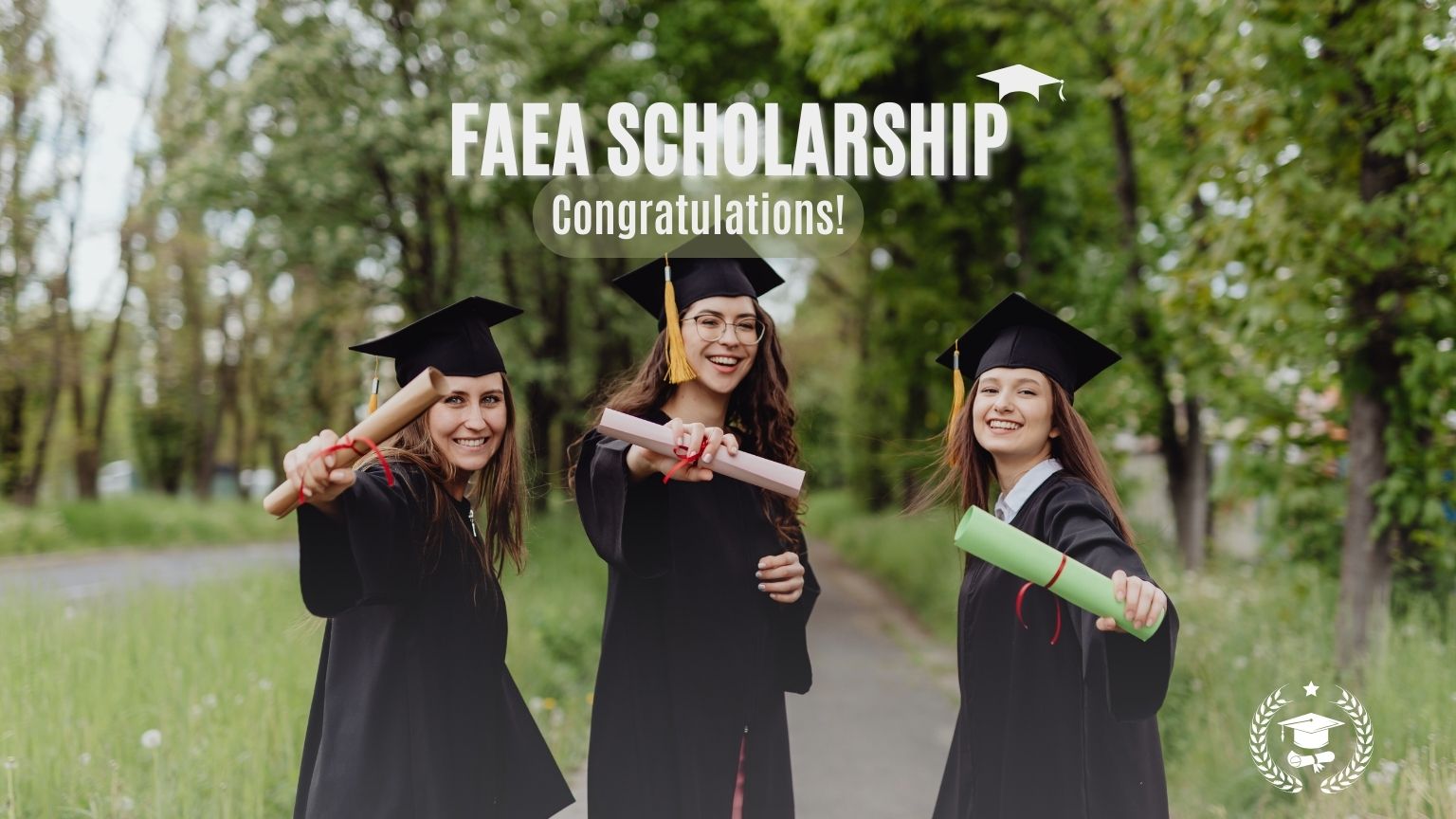 FAEA Scholarship Status